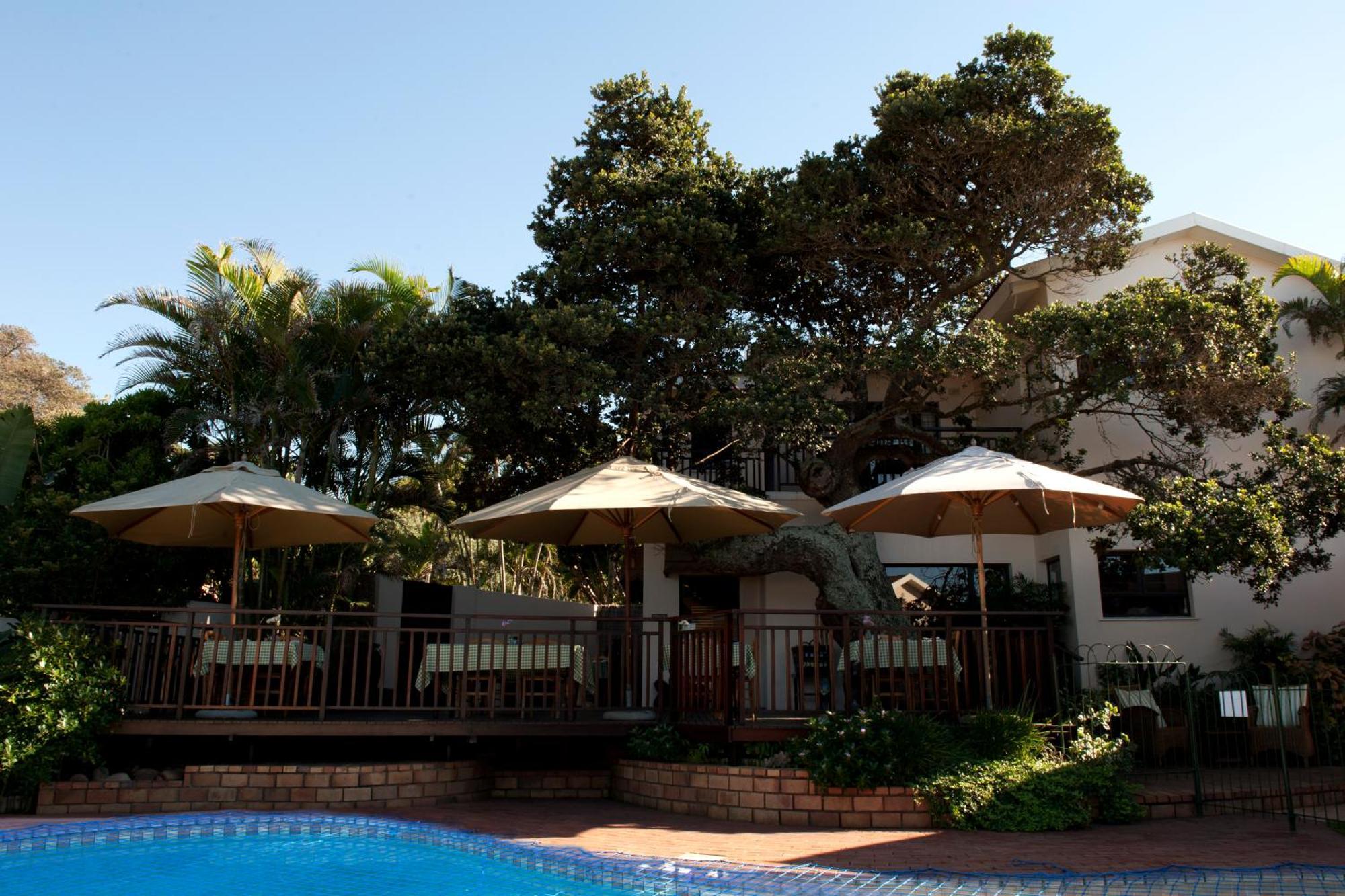 Fairlight Beach House Умдлоті Екстер'єр фото